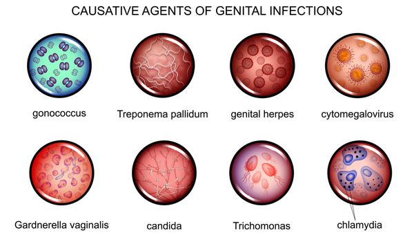 Genitalis herpes simplex penyebab penyakit 6 Macam