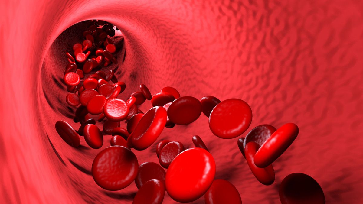 Ini Cara Memperlancar Sirkulasi Darah