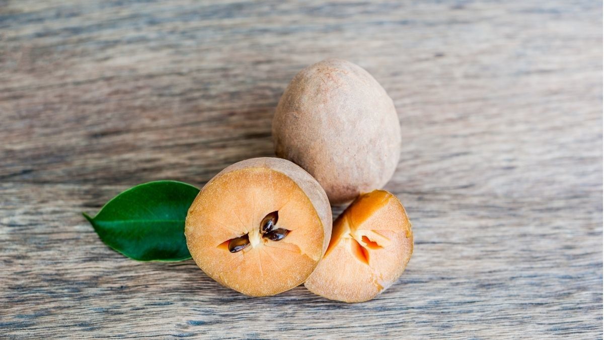 manfaat buah sawo untuk kesehatan