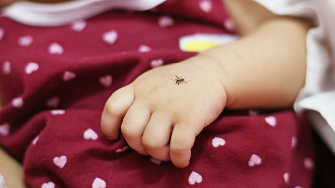 Ciri-ciri demam berdarah pada anak