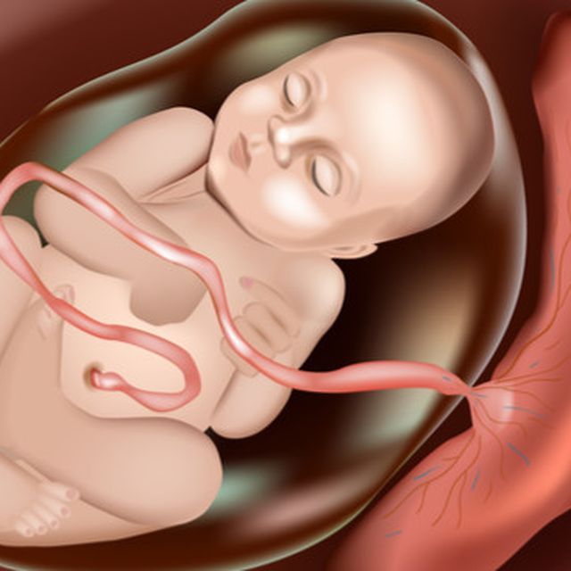Ciri-ciri bayi sehat dalam kandungan 7 bulan