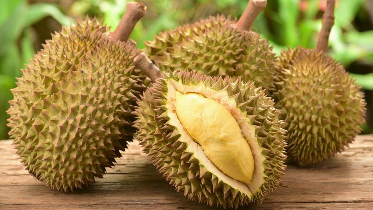 5 Alasan Kenapa Anda Perlu Makan Durian Info Sehat Klikdoktercom