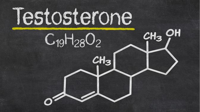 Hormon testosteron pada wanita