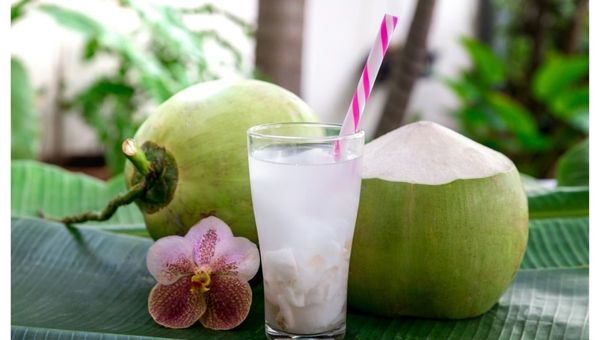 Muda kelapa minum khasiat air 11 Khasiat