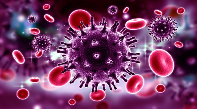 Manusia hiv diserang adalah virus darah oleh yang sel Sel darah