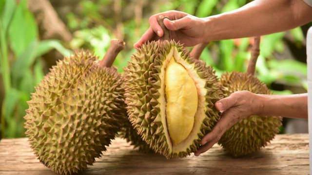 Tak Disangka, Ini Manfaat Durian bagi Kesehatan