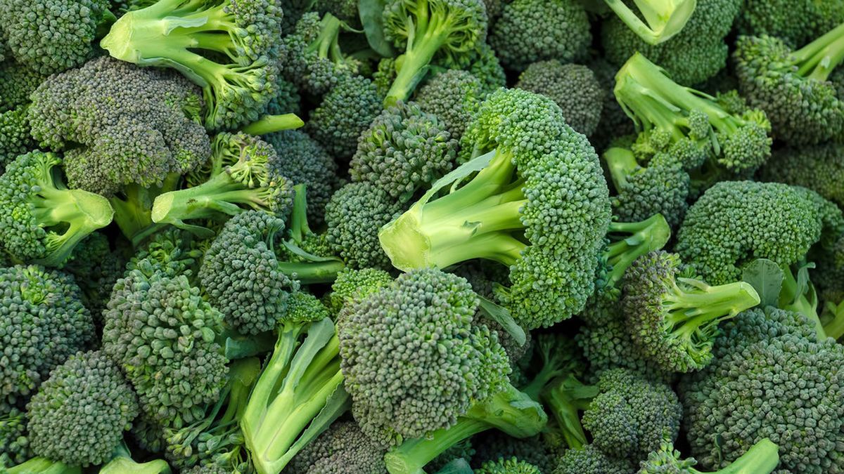 Manfaat Brokoli untuk Mengatasi Asam Urat