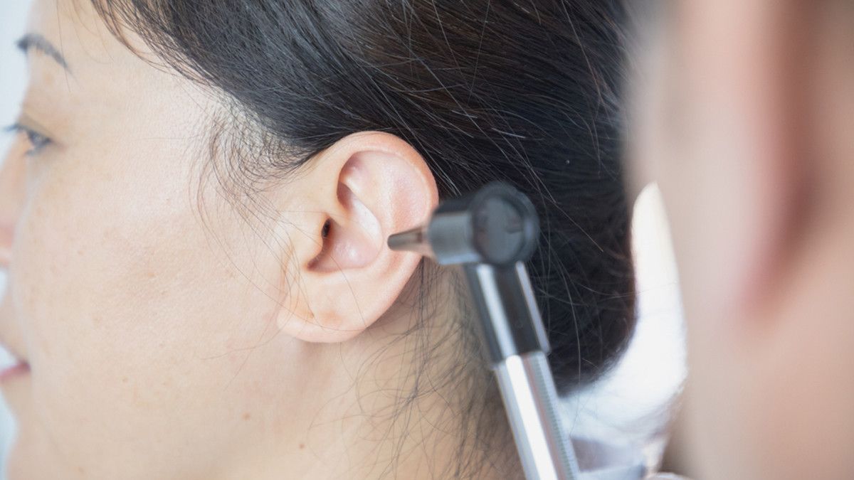 Tulang pendengaran menyebabkan yaitu tulang pengapuran indera dapat gangguan pendengaran pada ilmu biologi