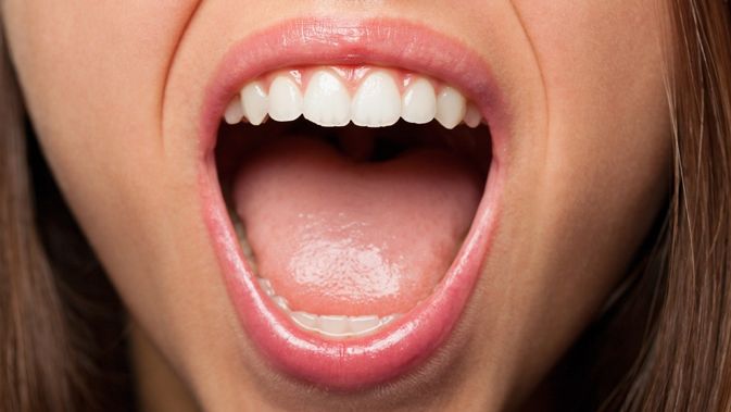 Salah satu fungsi lidah pada mulut manusia ketika proses pencernaan makanan adalah untuk