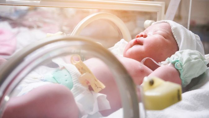 Tahap Tumbuh Kembang Bayi Prematur Usia 0 12 Bulan