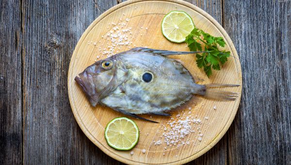 Ikan adalah salah satu jenis makanan yang memiliki kandungan protein tinggi. tetapi ikan mudah seka