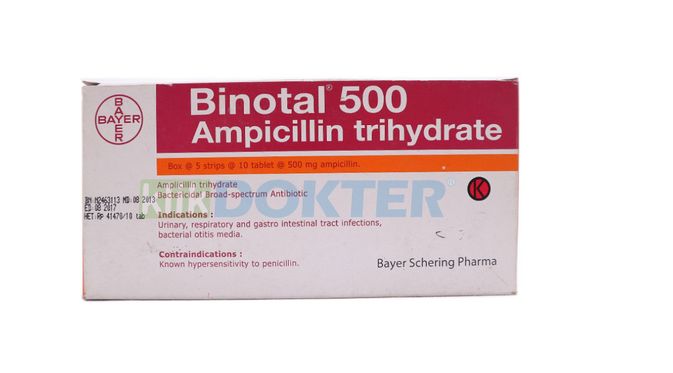 Ampicillin 500 mg obat apa