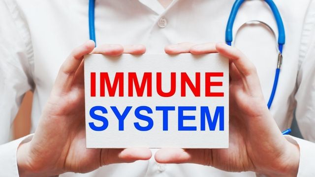 Memperkuat Sistem Imun
