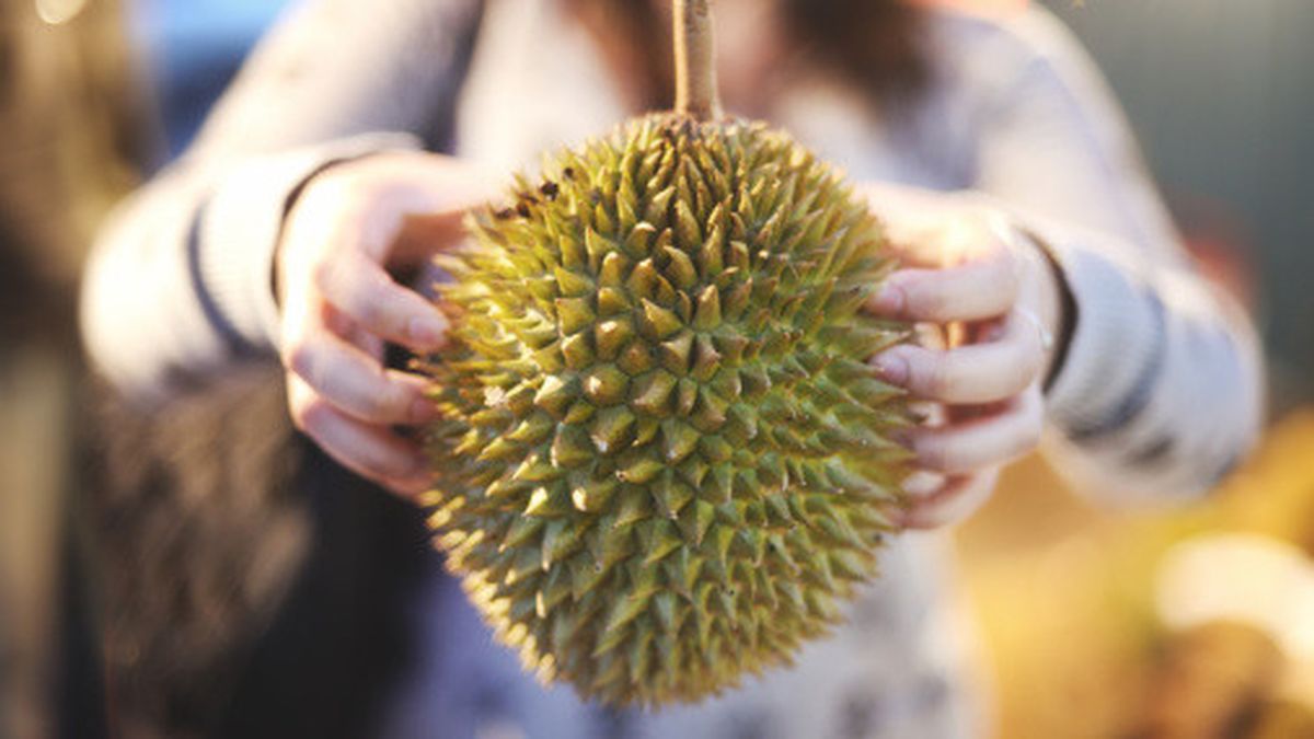 Fakta Mitos Durian Dengan Kesehatan Info Sehat Klikdoktercom