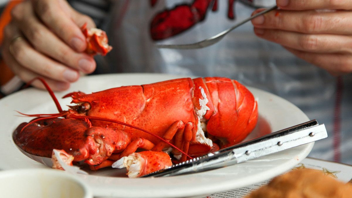 Makanan udang lobster