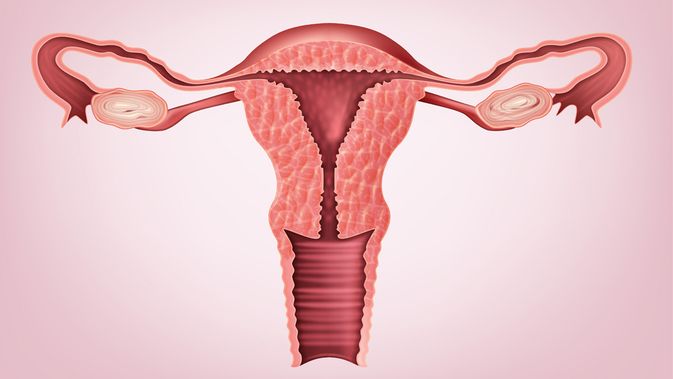 Penebalan dinding rahim tanda hamil