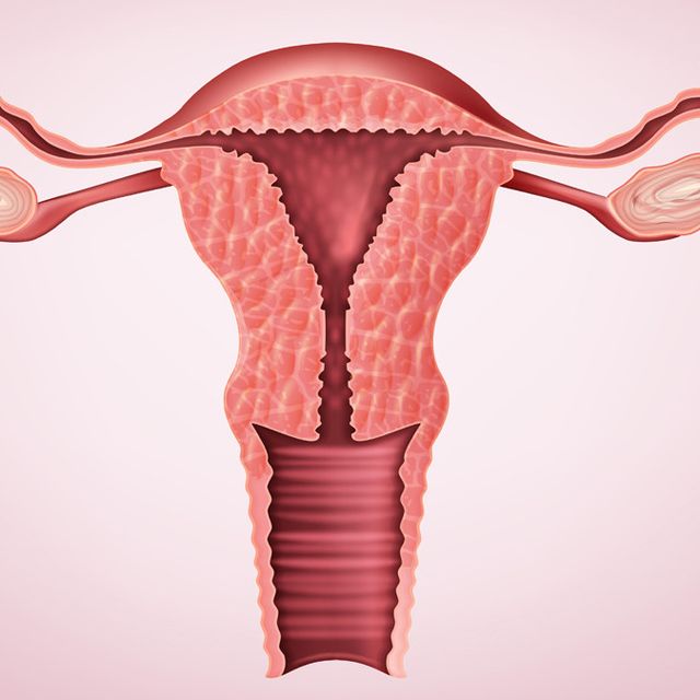 Gambar rahim