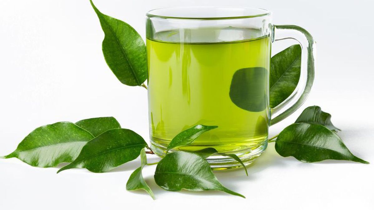 teh hijau Minuman Energi untuk Tahan Lama