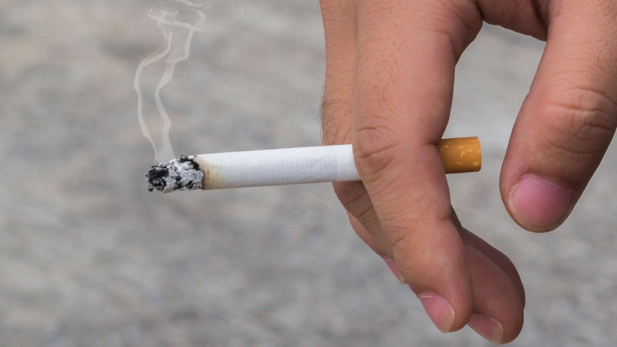 Asap rokok mengandung racun berbahaya asap rokok berasal